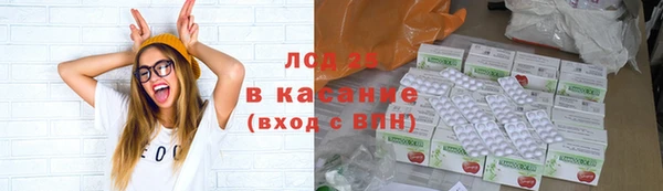 гидропоника Алзамай