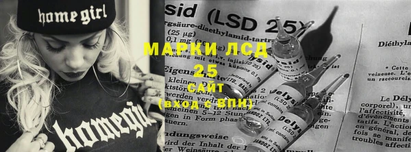 гидропоника Алзамай