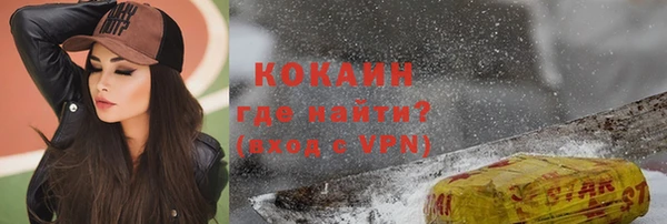 винт Пересвет