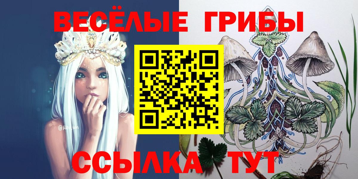 Галлюциногенные грибы ЛСД Лениногорск