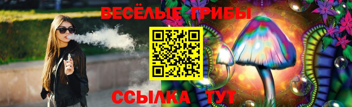 Лениногорск  Псилоцибиновые грибы Cubensis  Вход с VPN 