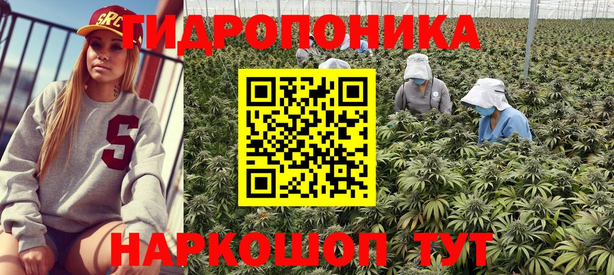 Бошки Шишки Bruce Banner Лениногорск
